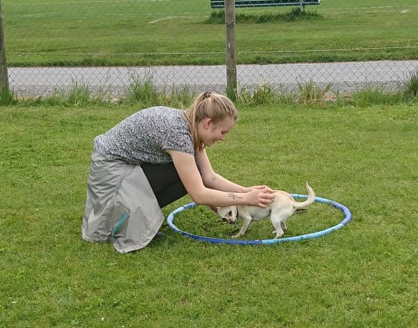 Plauschparcours Frühling 2019 27