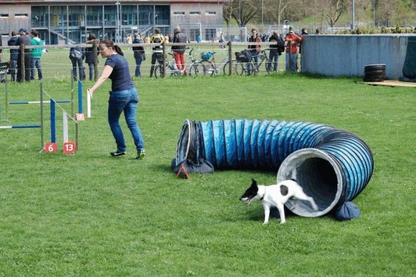 Spartentag 2015 117