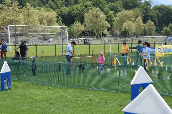 Plauschparcours Frühling 2017 118
