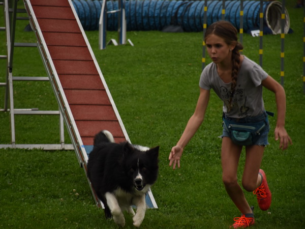 Agility Plauschturnier Augugst 2020 19