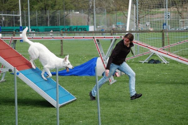 Spartentag 2015 118