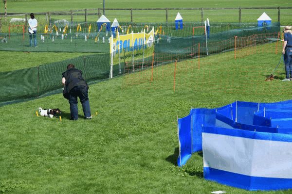 Plauschparcours Frühling 2017 119