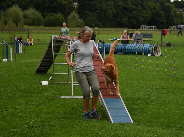 Agility Plauschturnier Augugst 2020 21