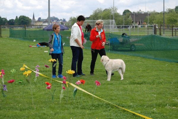 Plauschparcours 2015 91