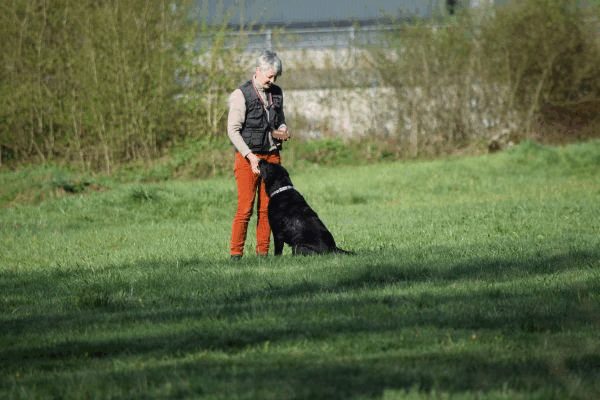 Spartentag 2015 119