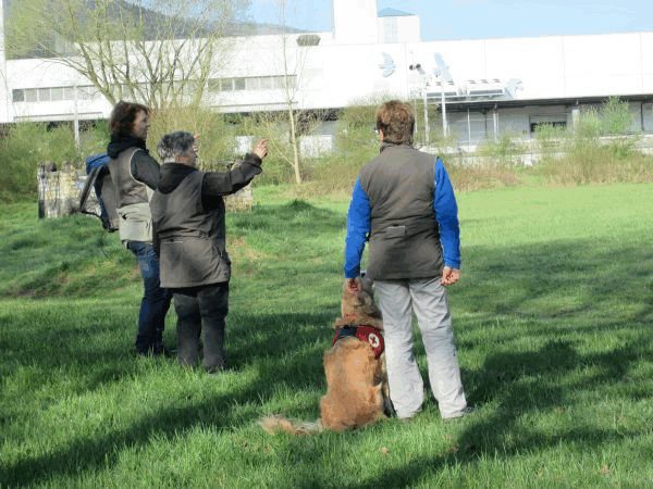 Spartentag 2015 120
