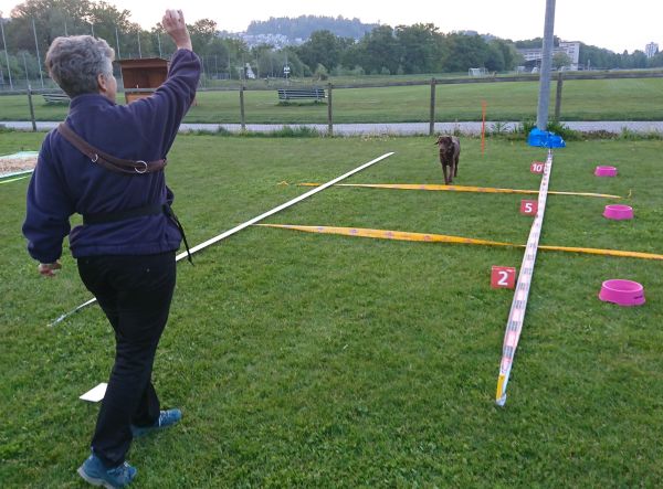Plauschparcours Frühling 2019 30