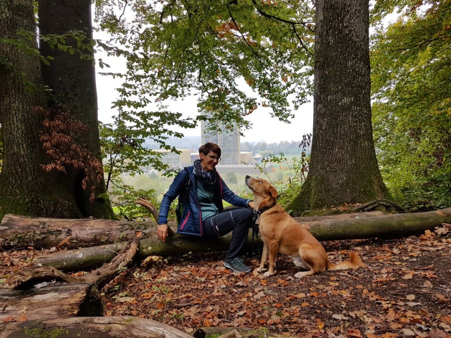 Dogtrail Herbst 2019 48