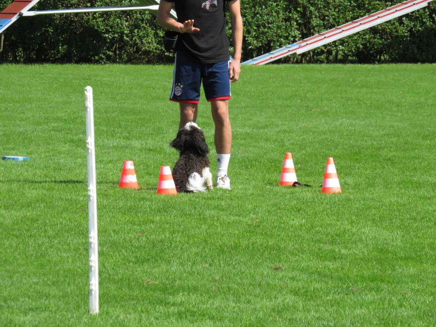 Entdeckertag Allmend 2019 20