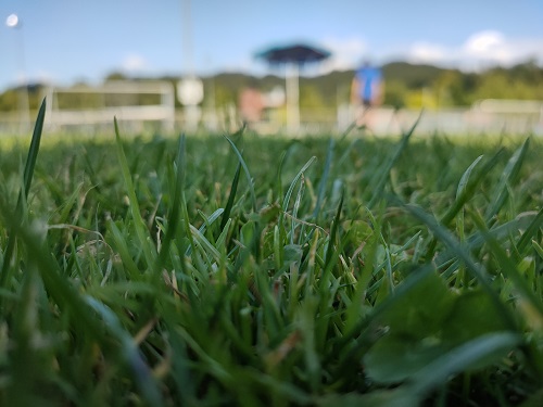 Agility Plauschmeeting September 2021 17