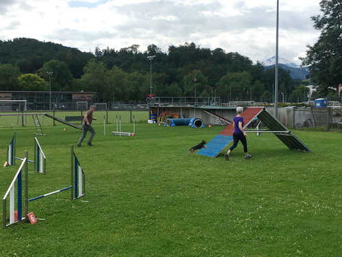 Agility Plauschturnier Juli 2021 14