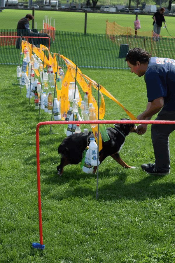 Plauschparcours Frühling 2017 124