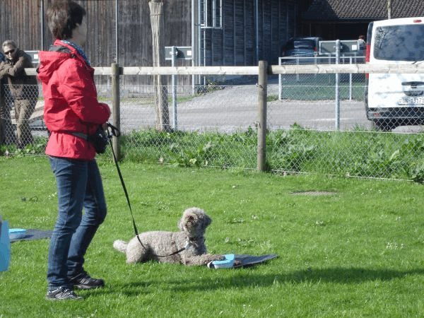 Spartentag 2015 128