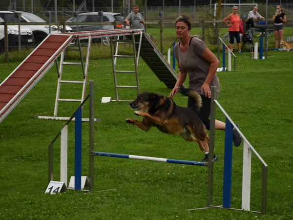 Agility Plauschturnier Augugst 2020 22