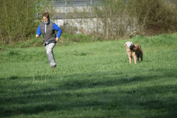 Spartentag 2015 129