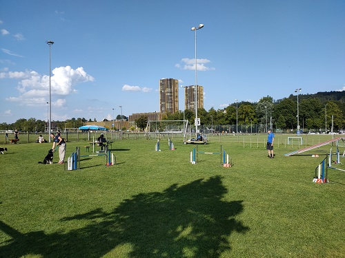 Agility Plauschmeeting September 2021 18