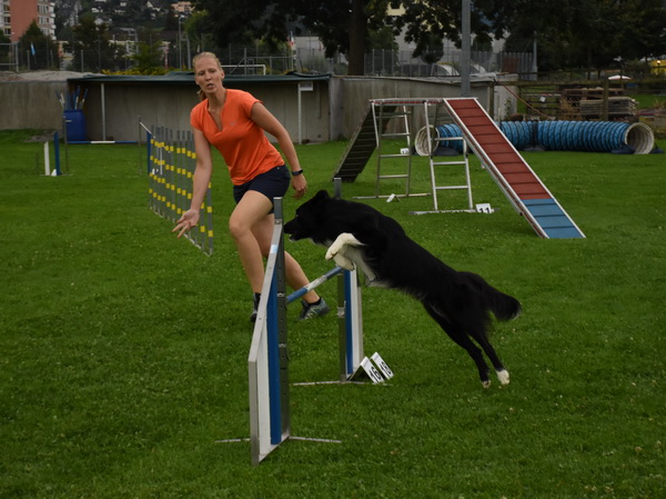 Agility Plauschturnier Augugst 2020 23