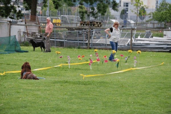 Plauschparcours 2015 103