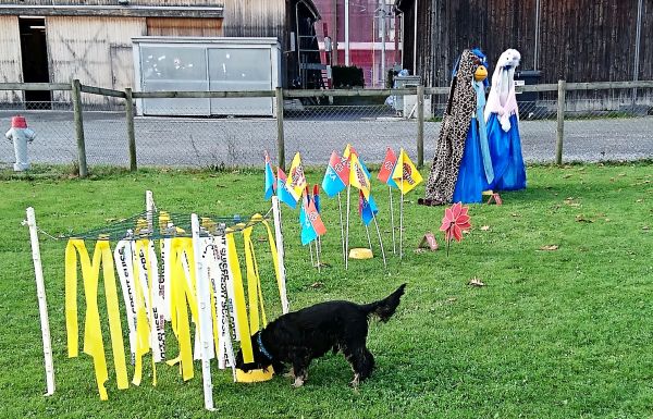 Plauschparcours Herbst 2017 75