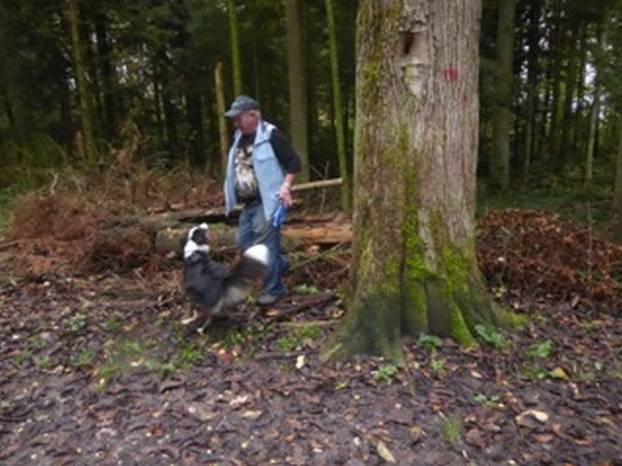 Dogtrail Herbst 2019 51