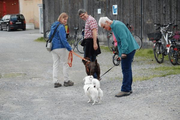 Plauschparcours 2015 105