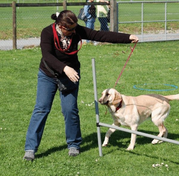 Spartentag 2015 132