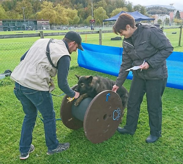Plauschparcours Herbst 2017 77