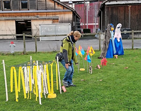 Plauschparcours Herbst 2017 78