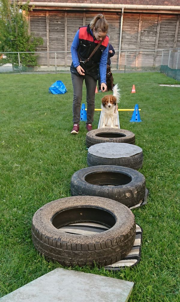 Plauschparcours Frühling 2019 34