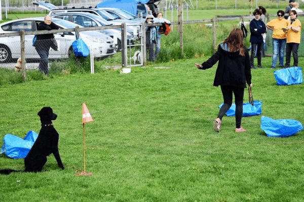Plauschparcours Frühling 2017 132