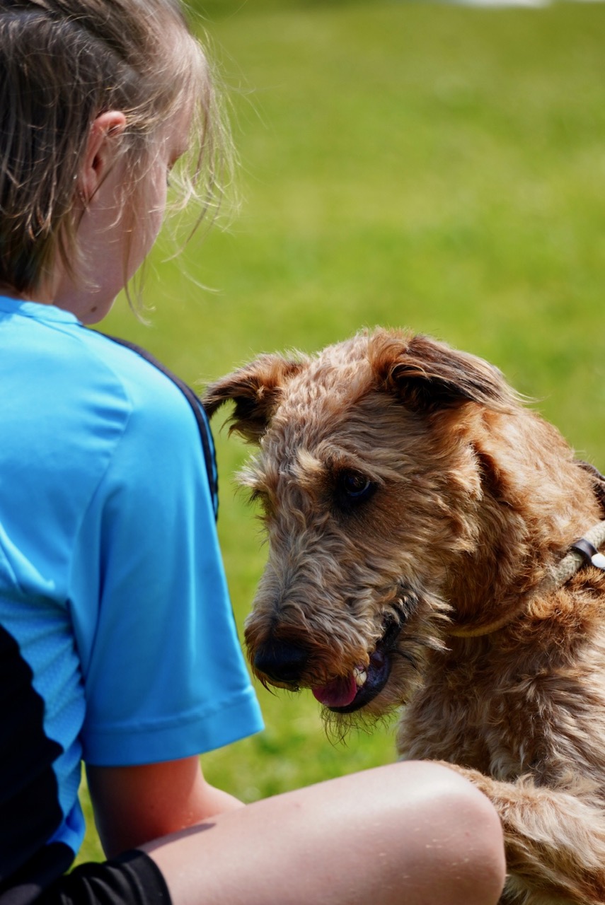 Agility Plauschturnier 2023 15