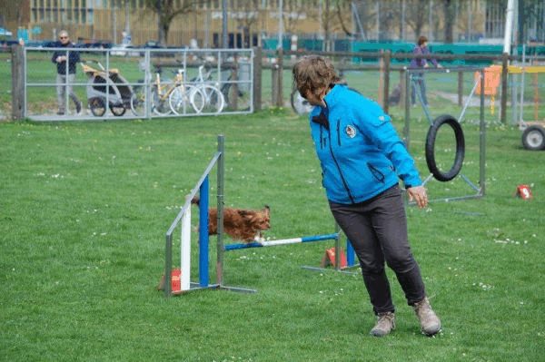 Spartentag 2015 134