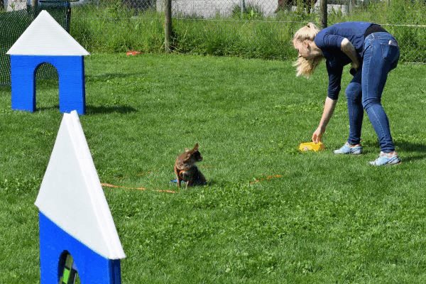 Plauschparcours Frühling 2017 136
