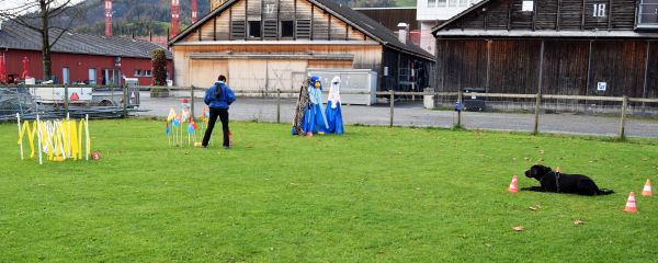 Plauschparcours Herbst 2017 81