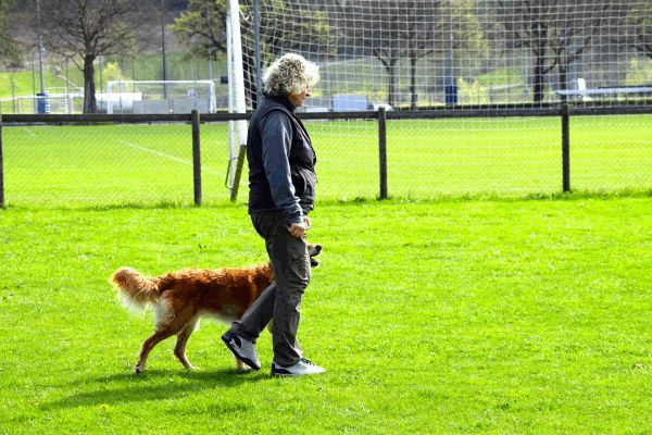 Spartentag 2015 135
