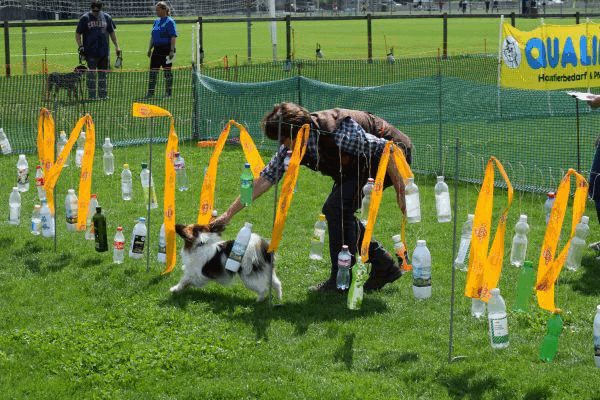 Plauschparcours Frühling 2017 139