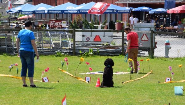 Plauschparcours Frühling 2016 83