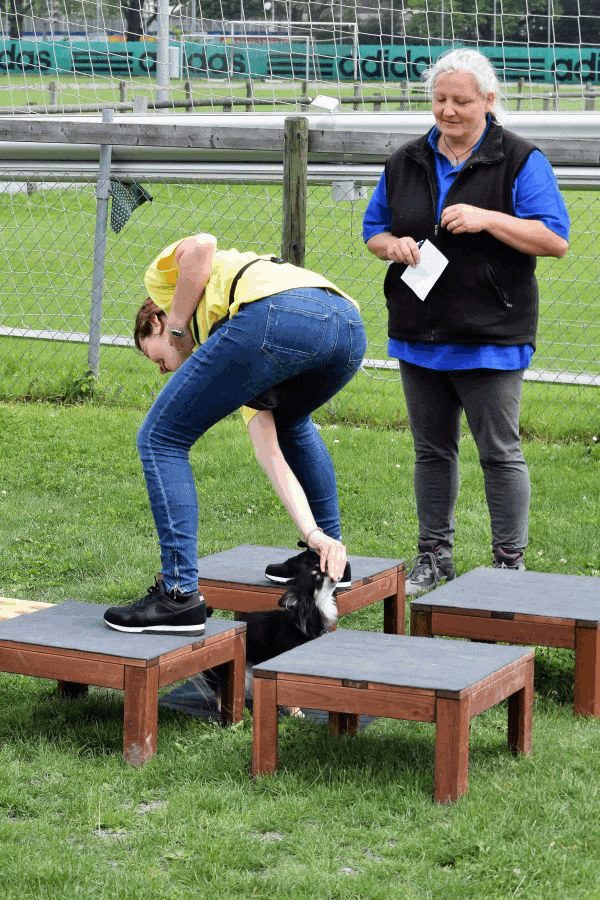 Plauschparcours Frühling 2017 141