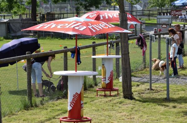 Plauschparcours Frühling 2016 85
