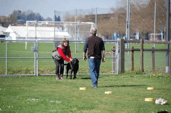Spartentag 2015 139