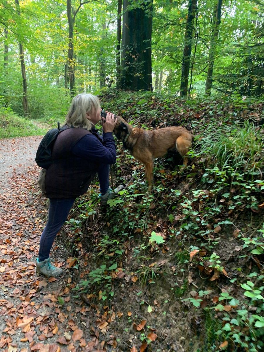 Dogtrail Herbst 2019 53