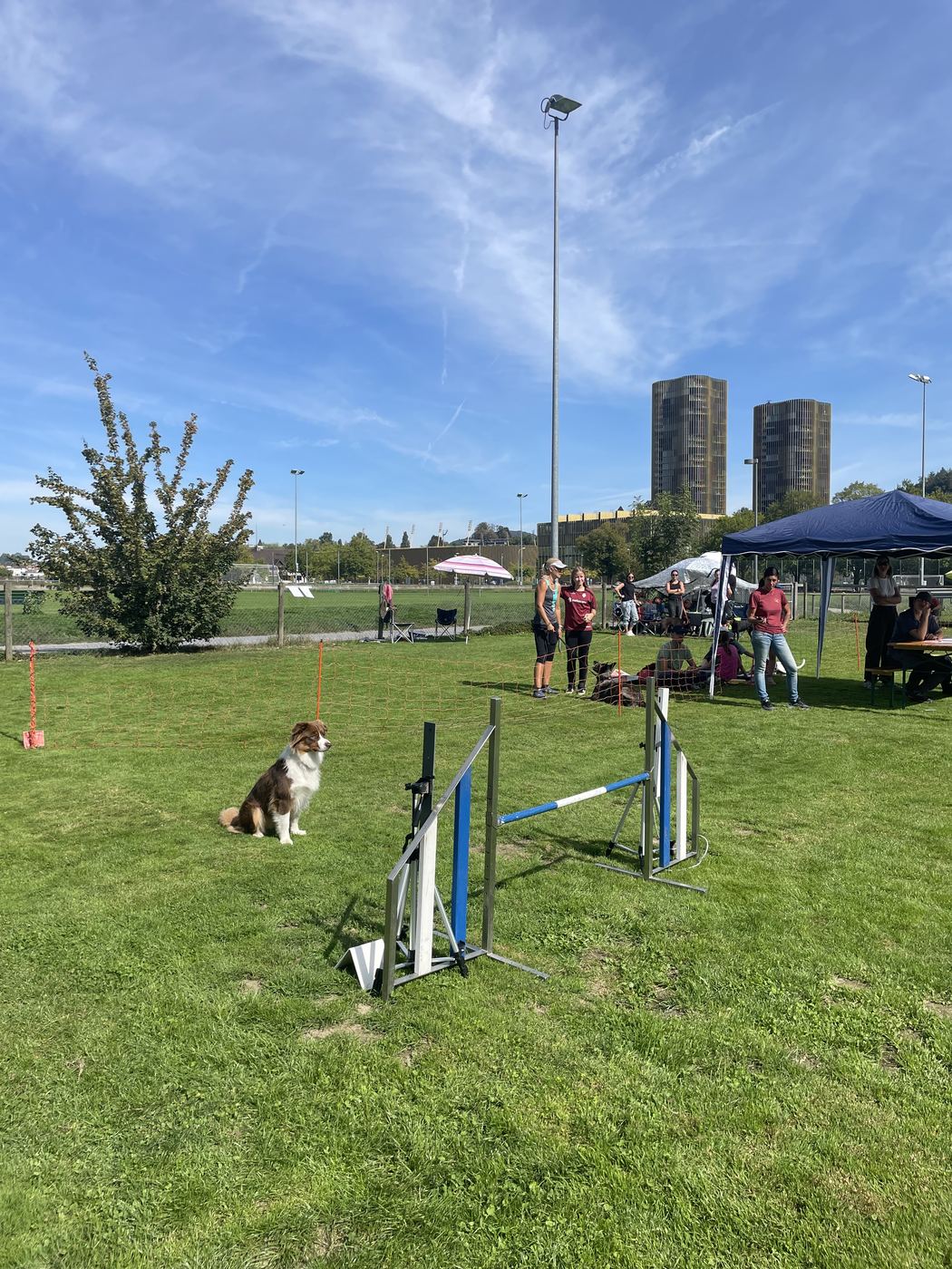 Agility-Plauschturnier 2026: Hund wartet am Start