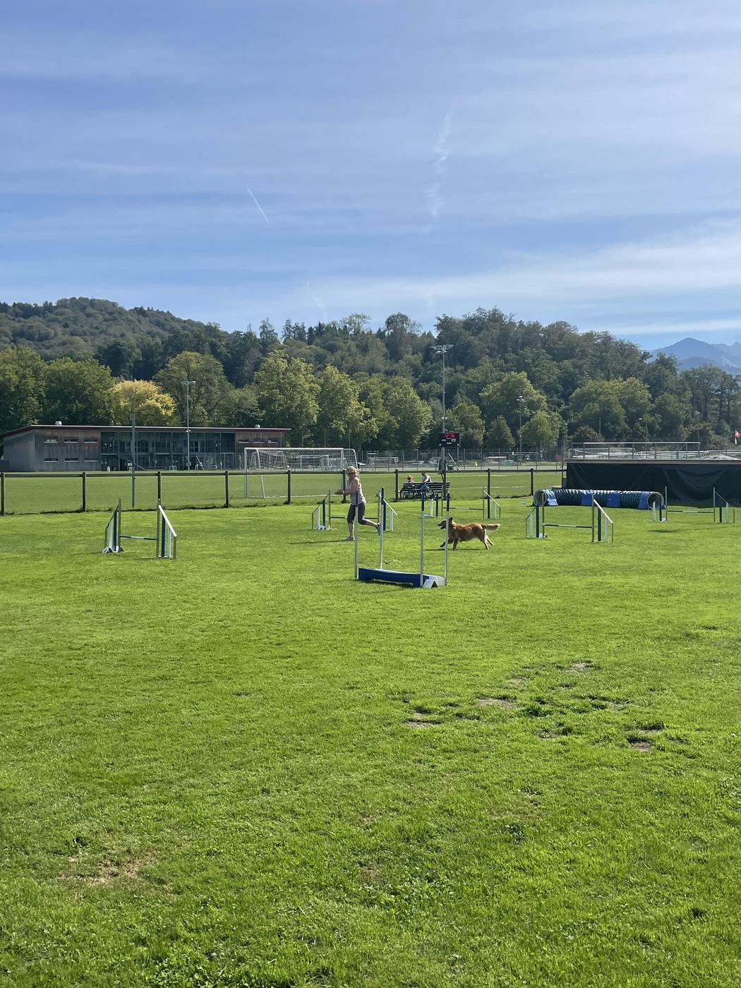 Agility-Plauschturnier 2026: Parcours auf der Allmend