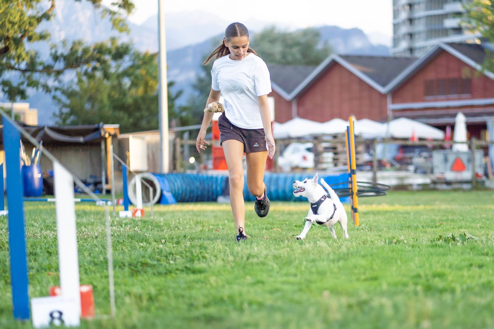 Agility Basiskurs 5