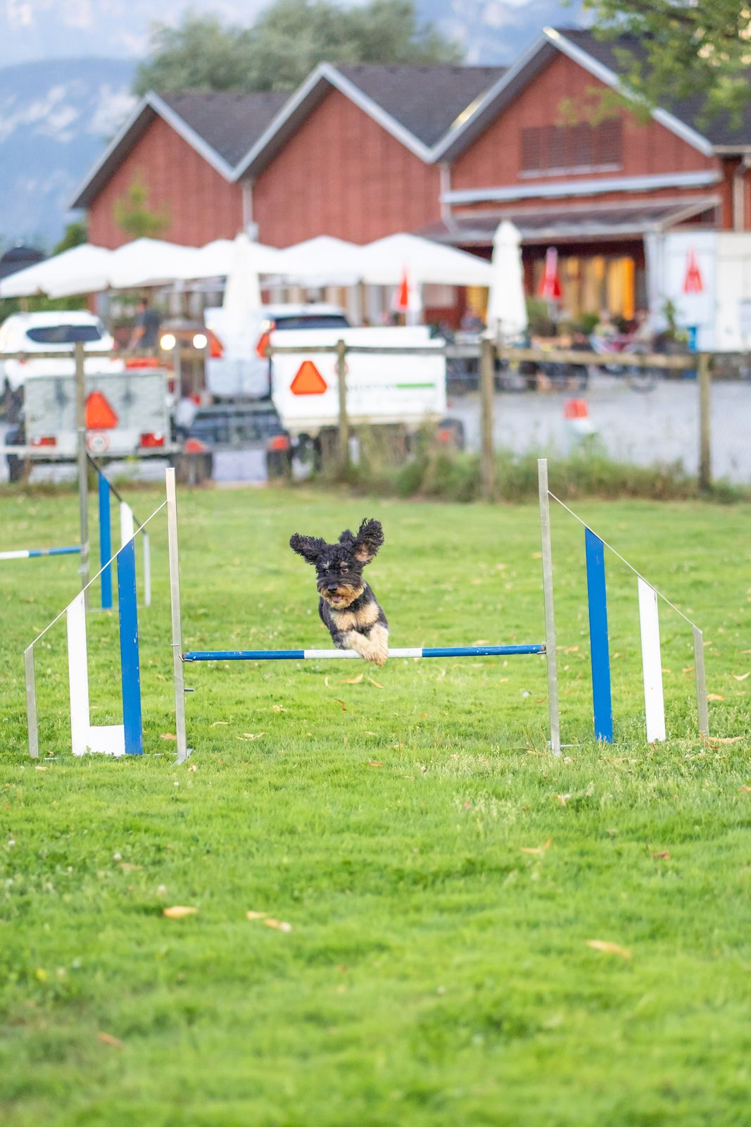 Agility 5