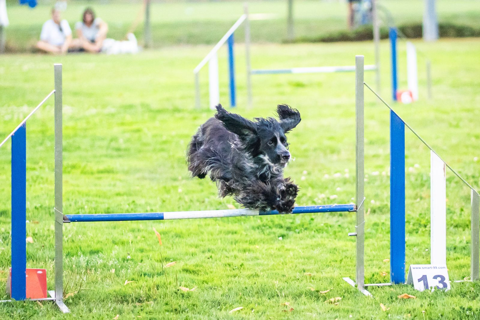 Agility 6