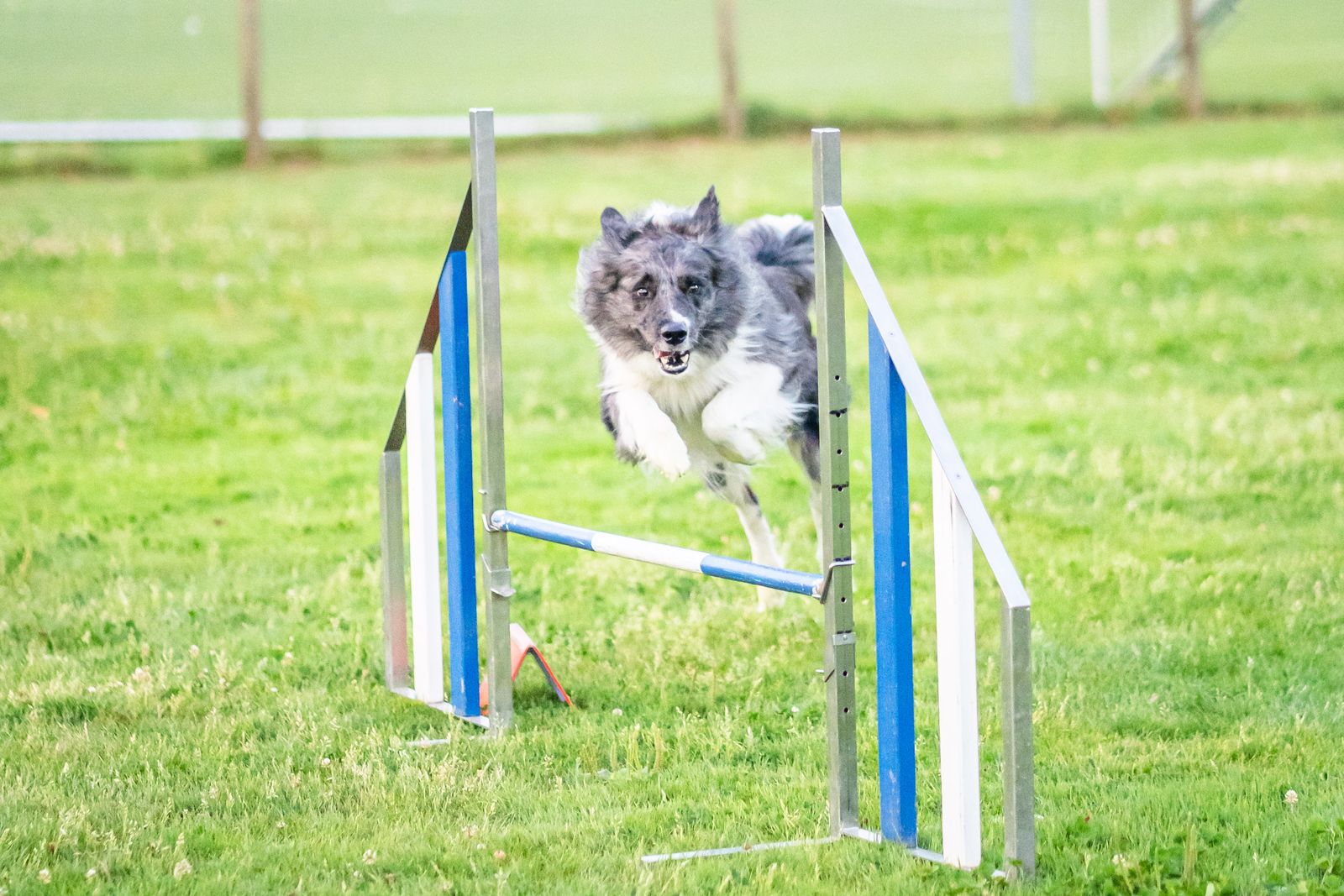 Agility 9