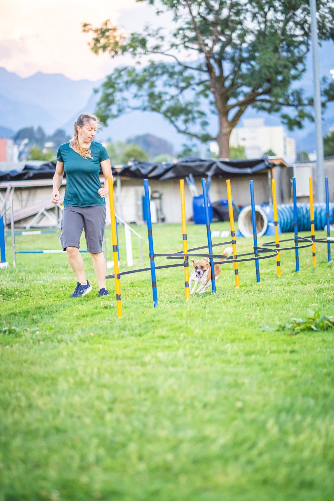 Agility Basiskurs 7