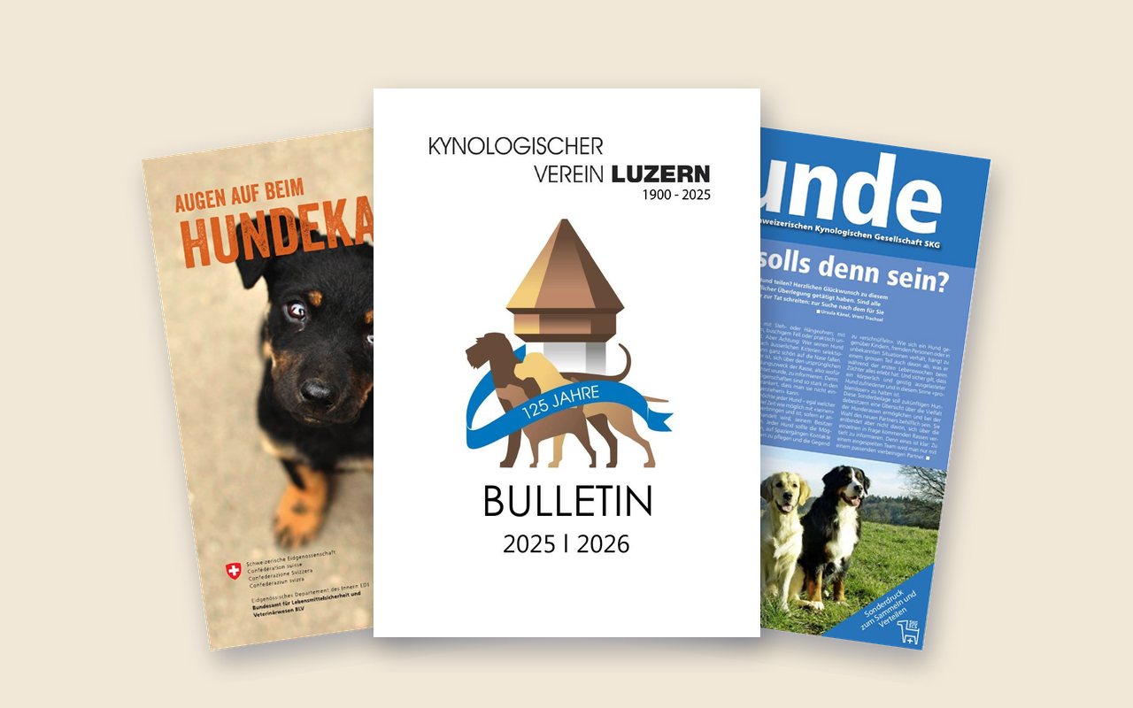 Titelseiten von Bulletin und Broschüren