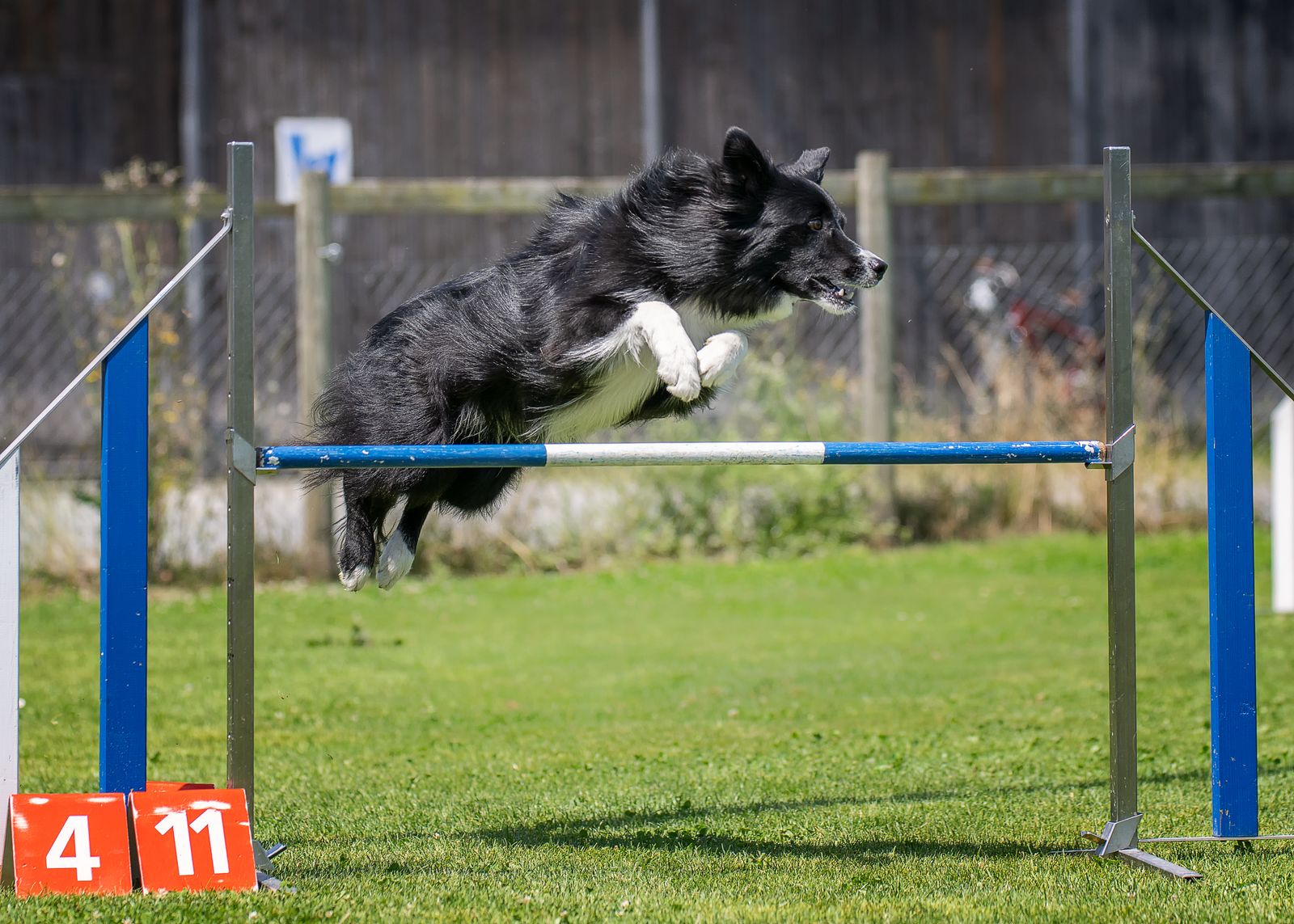 Agility 1